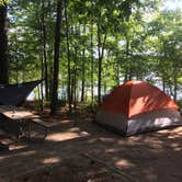 Review photo of Holly Point — Falls Lake State Recreation Area by Caroline G., August 13, 2018