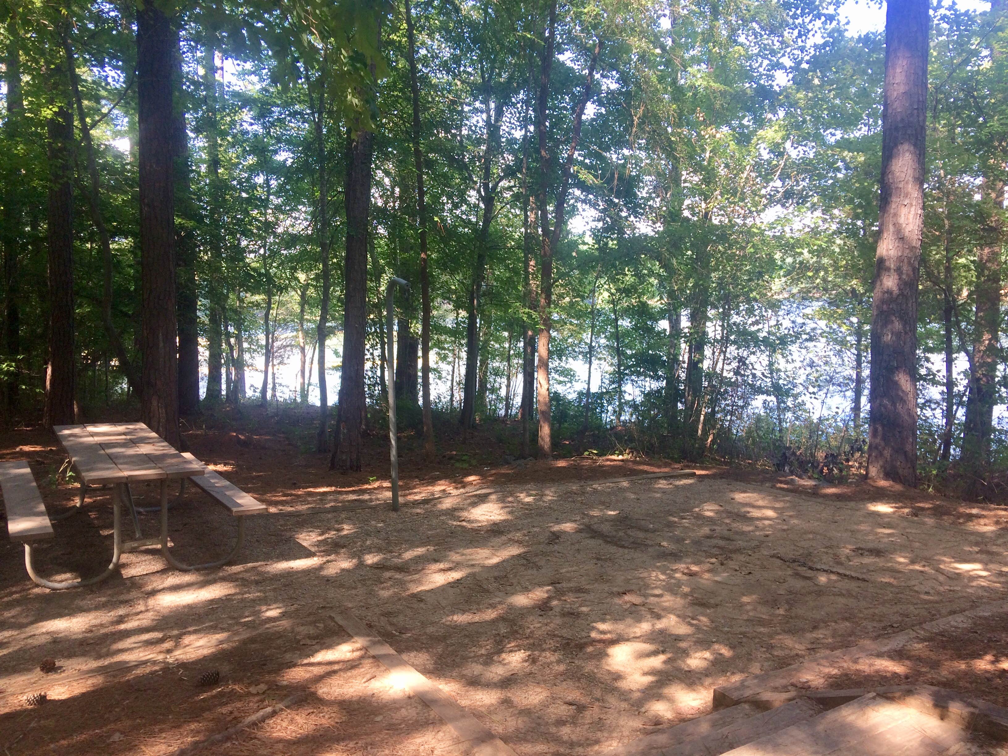 Camper submitted image from Holly Point — Falls Lake State Recreation Area - 4