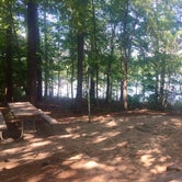 Review photo of Holly Point — Falls Lake State Recreation Area by Caroline G., August 13, 2018