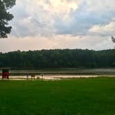 Review photo of Holly Point — Falls Lake State Recreation Area by Caroline G., August 13, 2018