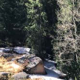 Review photo of Mueller State Park Campground by Loni P., August 13, 2018
