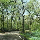 Review photo of White Pines Forest State Park Campground by Jamie B., August 12, 2018