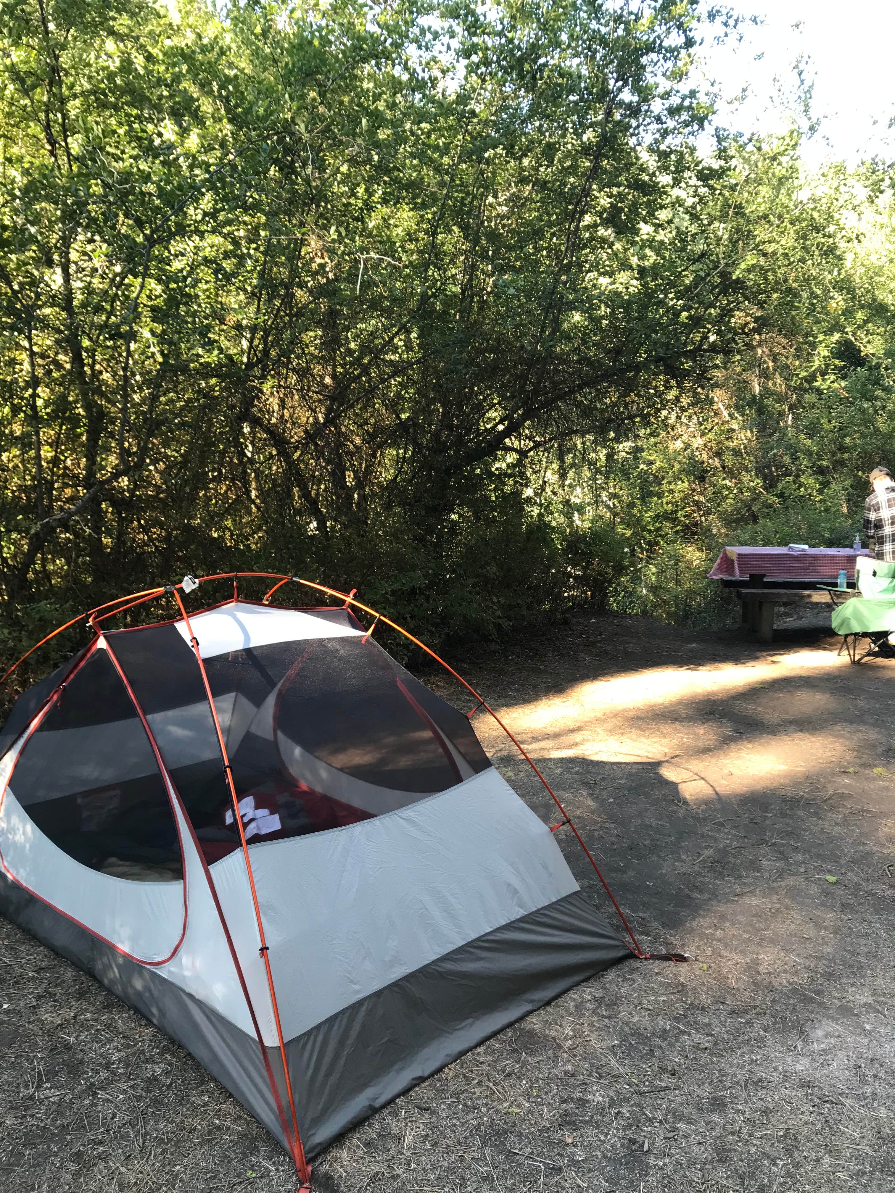 Rachel M.'s photo at Cottonwood Campground (WA) near Goose Prairie, WA