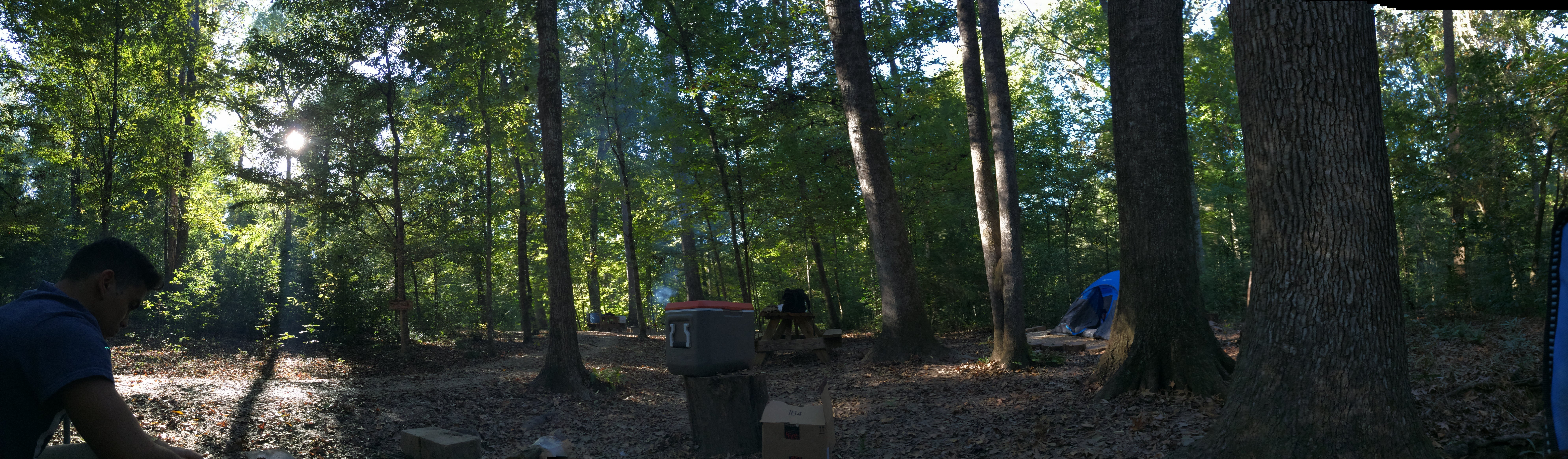 Camper submitted image from Tunica Hills Campground - 2
