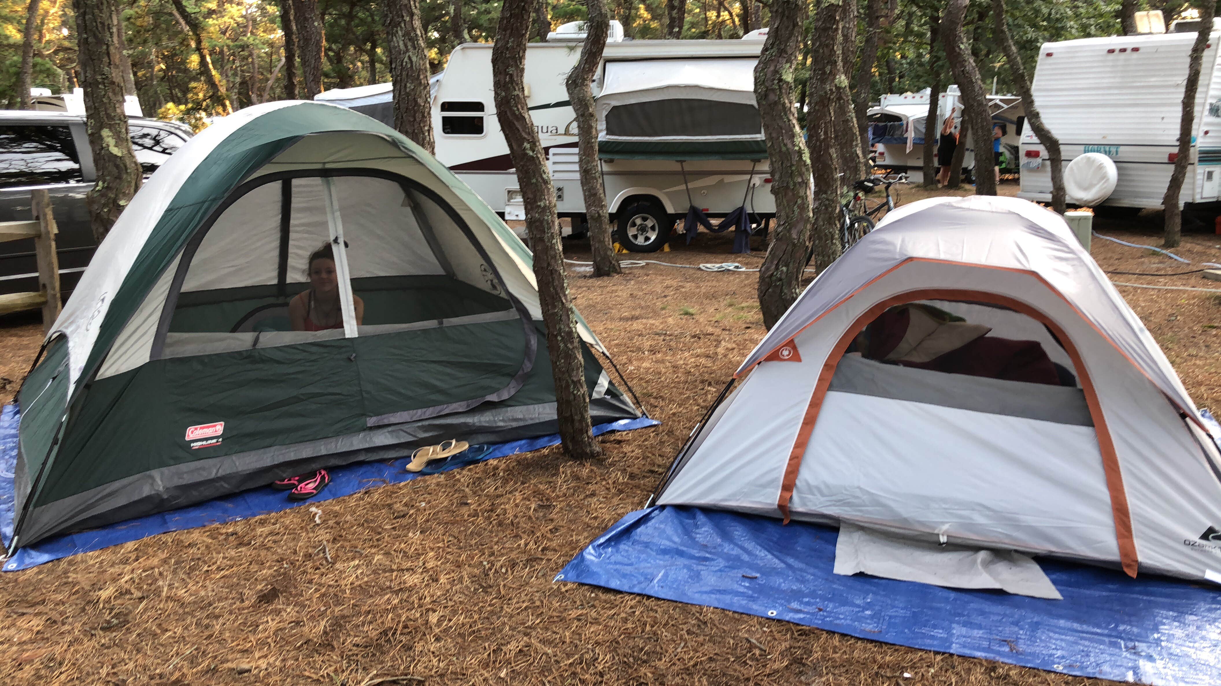 Camper submitted image from Adventure Bound Camping Resorts Cape Cod: North Truro - 5