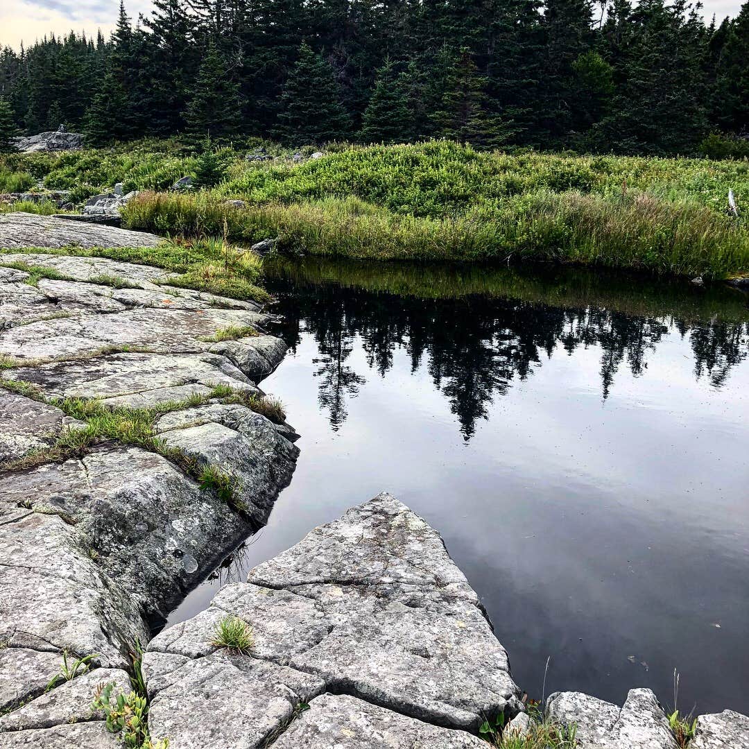 Camper-submitted photo at Cutler Coast Public Land — Cutler Coast Ecological Reserve near Eastport, ME