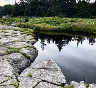Camper-submitted photo from Cutler Coast Public Land — Cutler Coast Ecological Reserve