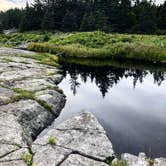 Review photo of Cutler Coast Public Land by Ashley S., August 13, 2018