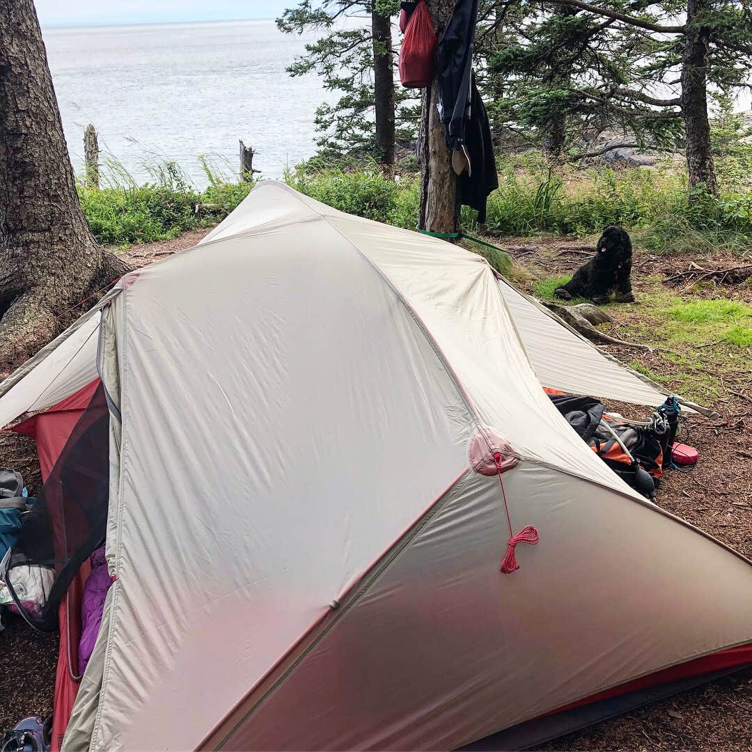 Ashley S.'s photo at Cutler Coast Public Land — Cutler Coast Ecological Reserve near Eastport, ME
