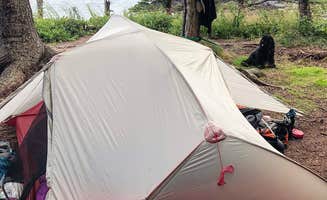 Ashley S.'s photo at Cutler Coast Public Land — Cutler Coast Ecological Reserve in Maine