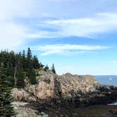 Review photo of Cutler Coast Public Land by Ashley S., August 13, 2018