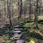 Review photo of Cutler Coast Public Land by Ashley S., August 13, 2018