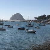 Review photo of Morro Bay State Park Campground by Erin G., August 13, 2018