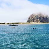 Review photo of Morro Bay State Park Campground by Erin G., August 13, 2018