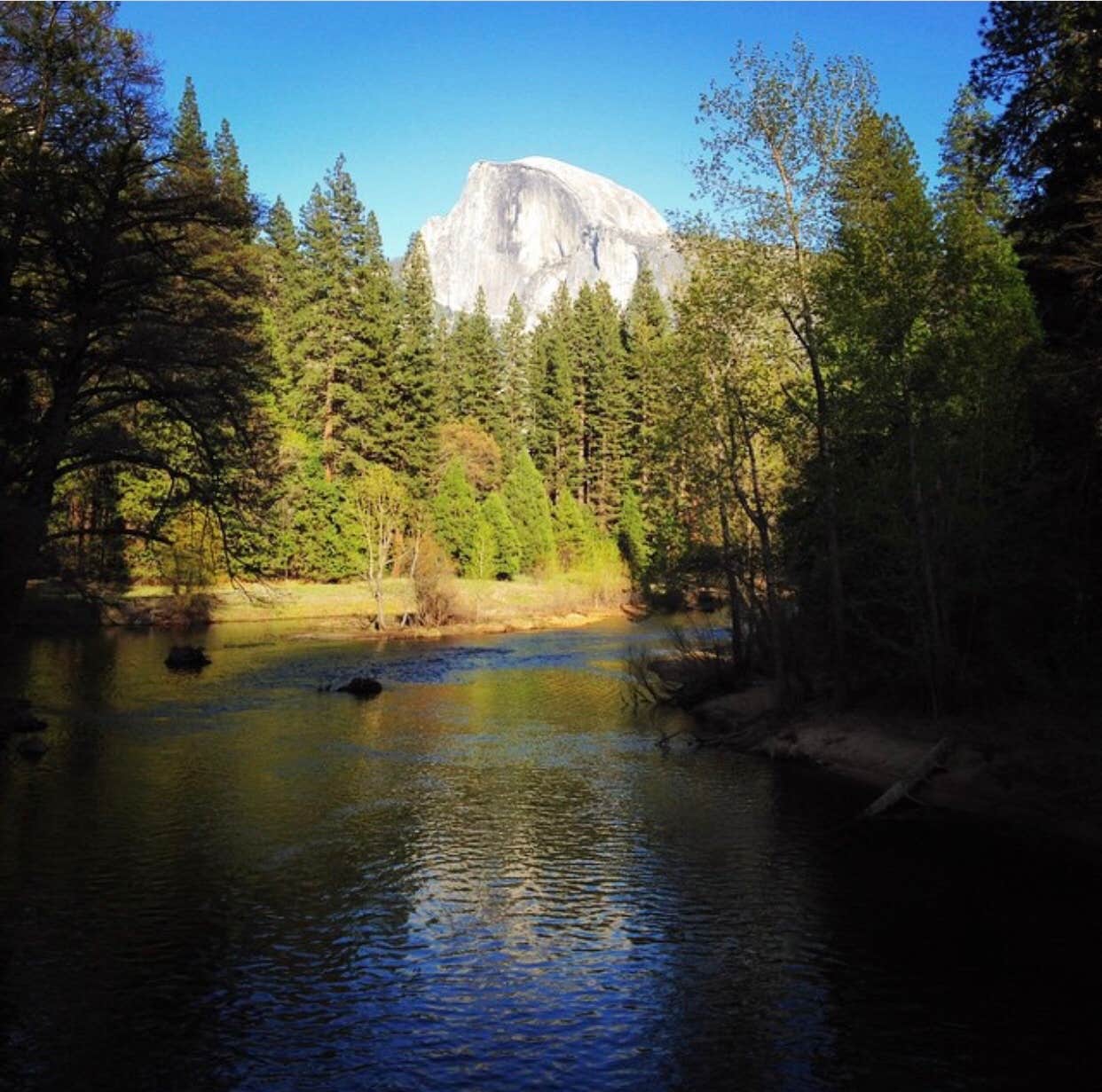 Camper submitted image from Yosemite Creek — Yosemite National Park - 1