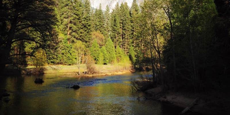 Camper submitted image from Yosemite Creek — Yosemite National Park