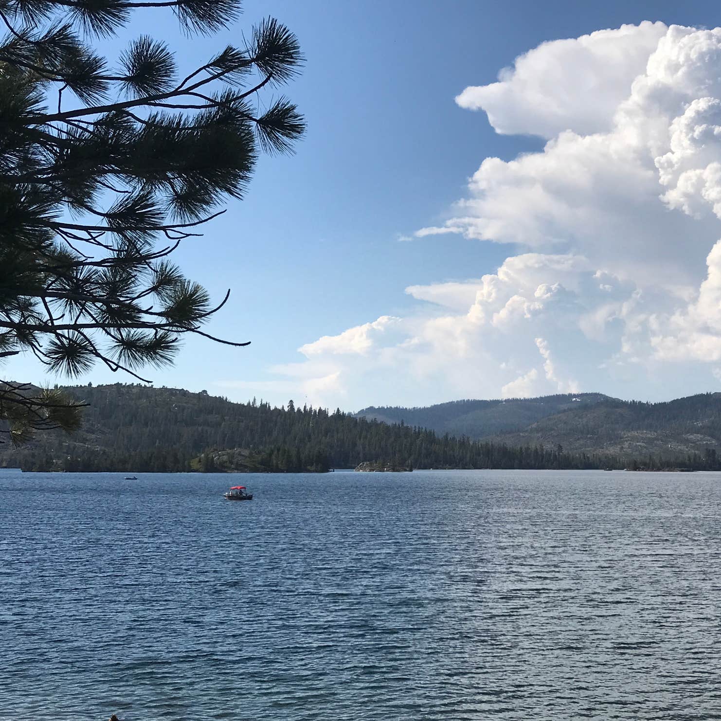 Loon Lake Camping | The Dyrt