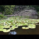 Review photo of Pocahontas State Park Campground by kevin T., July 30, 2016