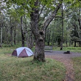 Review photo of Big Meadows Campground — Shenandoah National Park by Tiffany K., August 13, 2018