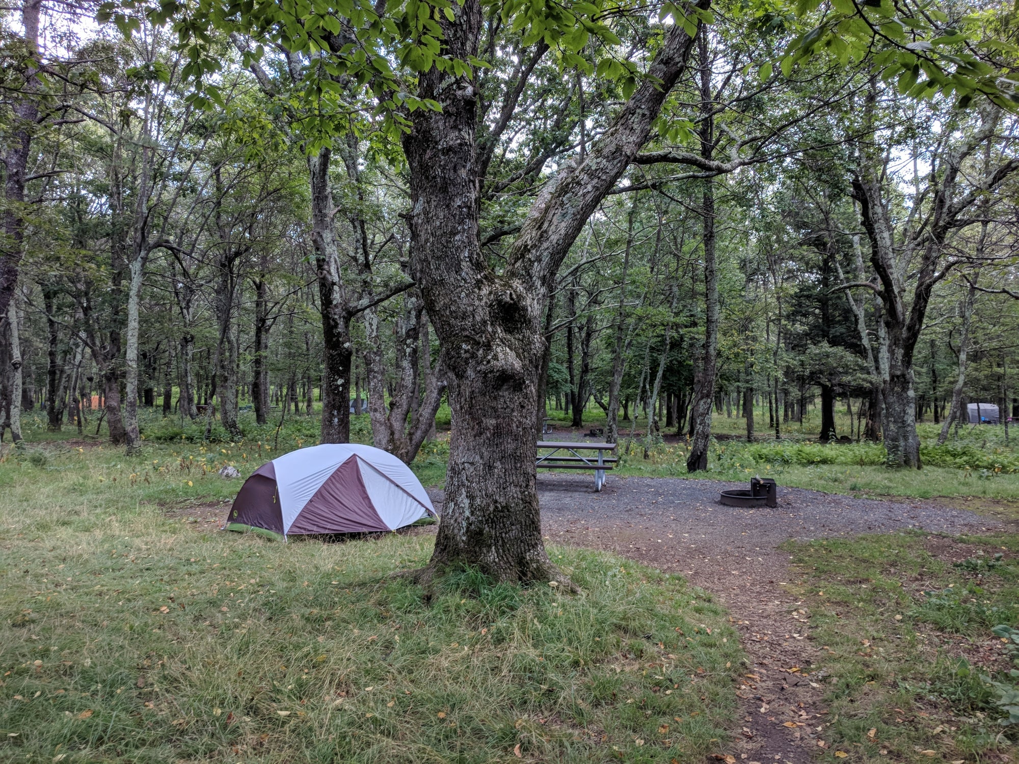 Big Meadows Campground in Shenandoah National Park, Virginia