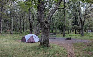 Tiffany K.'s photo at Big Meadows Campground — Shenandoah National Park near Ruckersville, VA
