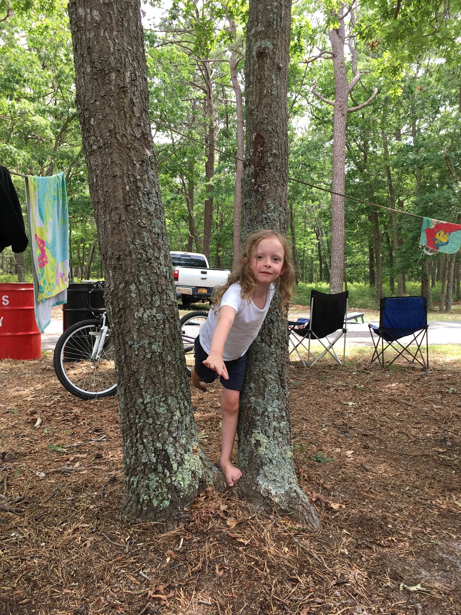 Camper submitted image from Sears Bellows County Park - 4
