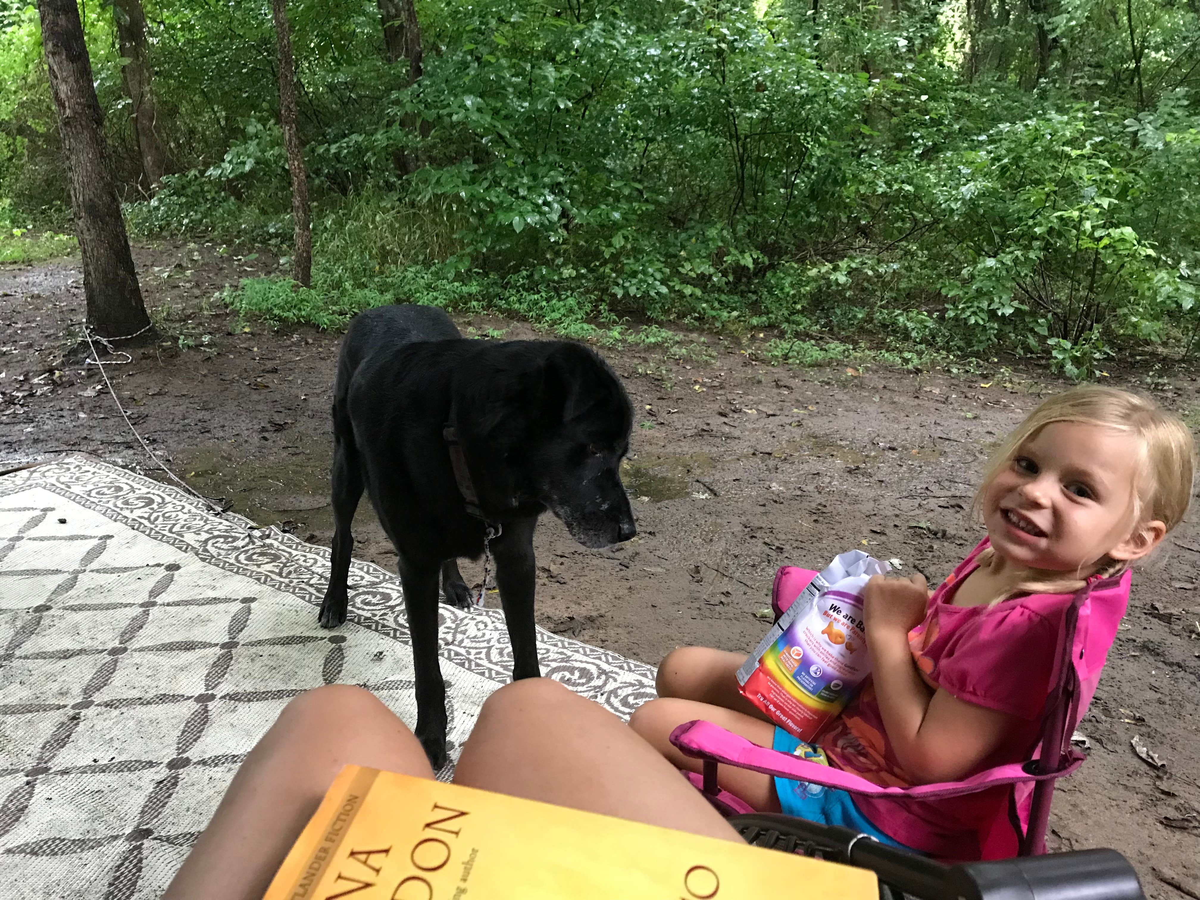 Camper-submitted photo at Hot Springs Campground near Greeneville, TN