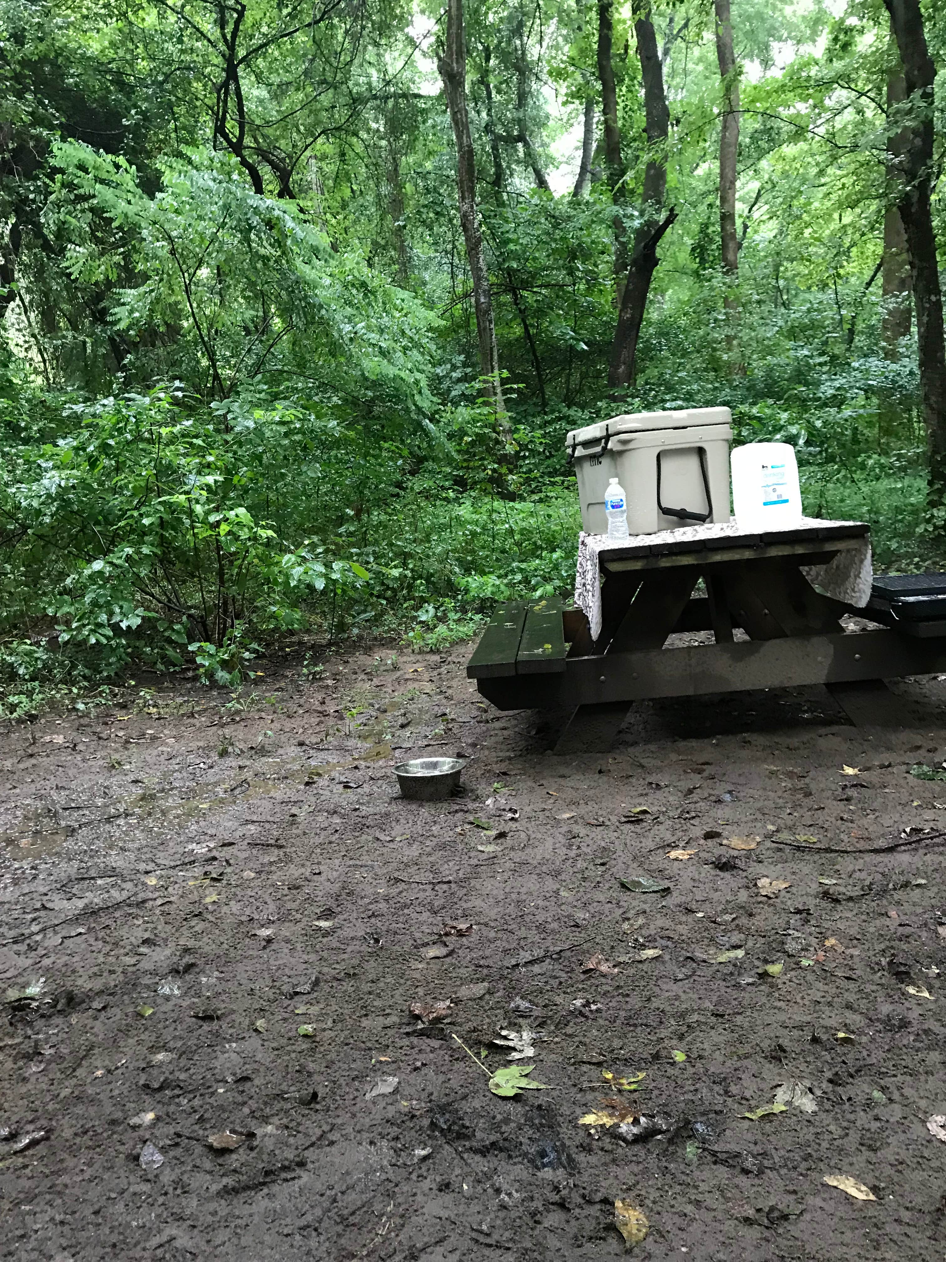 Camper-submitted photo at Hot Springs Campground near Greeneville, TN