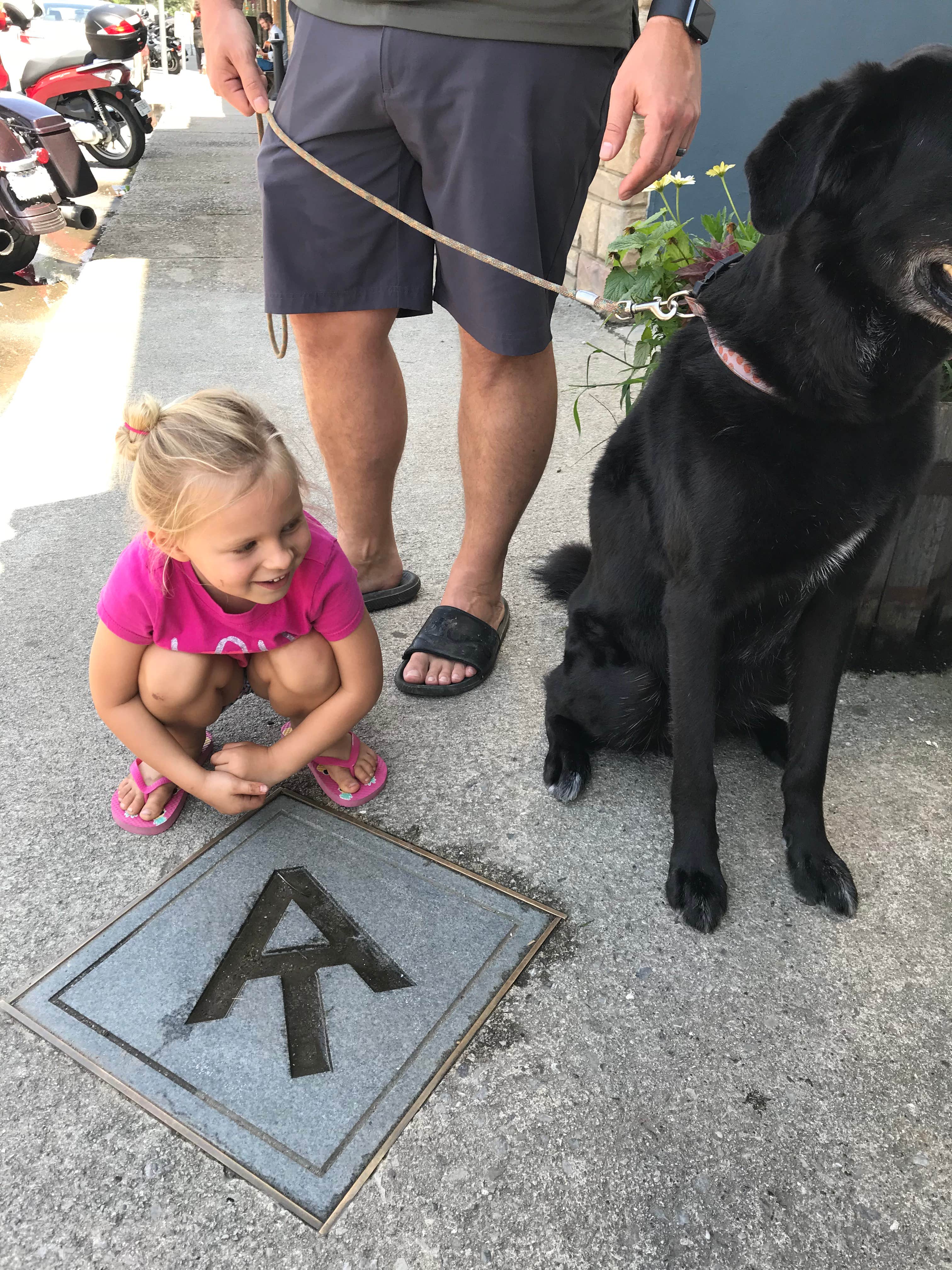 Brigitte H.'s photo of camping with pets at Hot Springs Campground near Cherokee National Forest