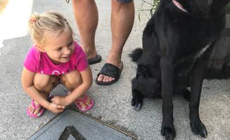 Brigitte H.'s photo of camping with pets at Hot Springs Campground near Limestone, TN