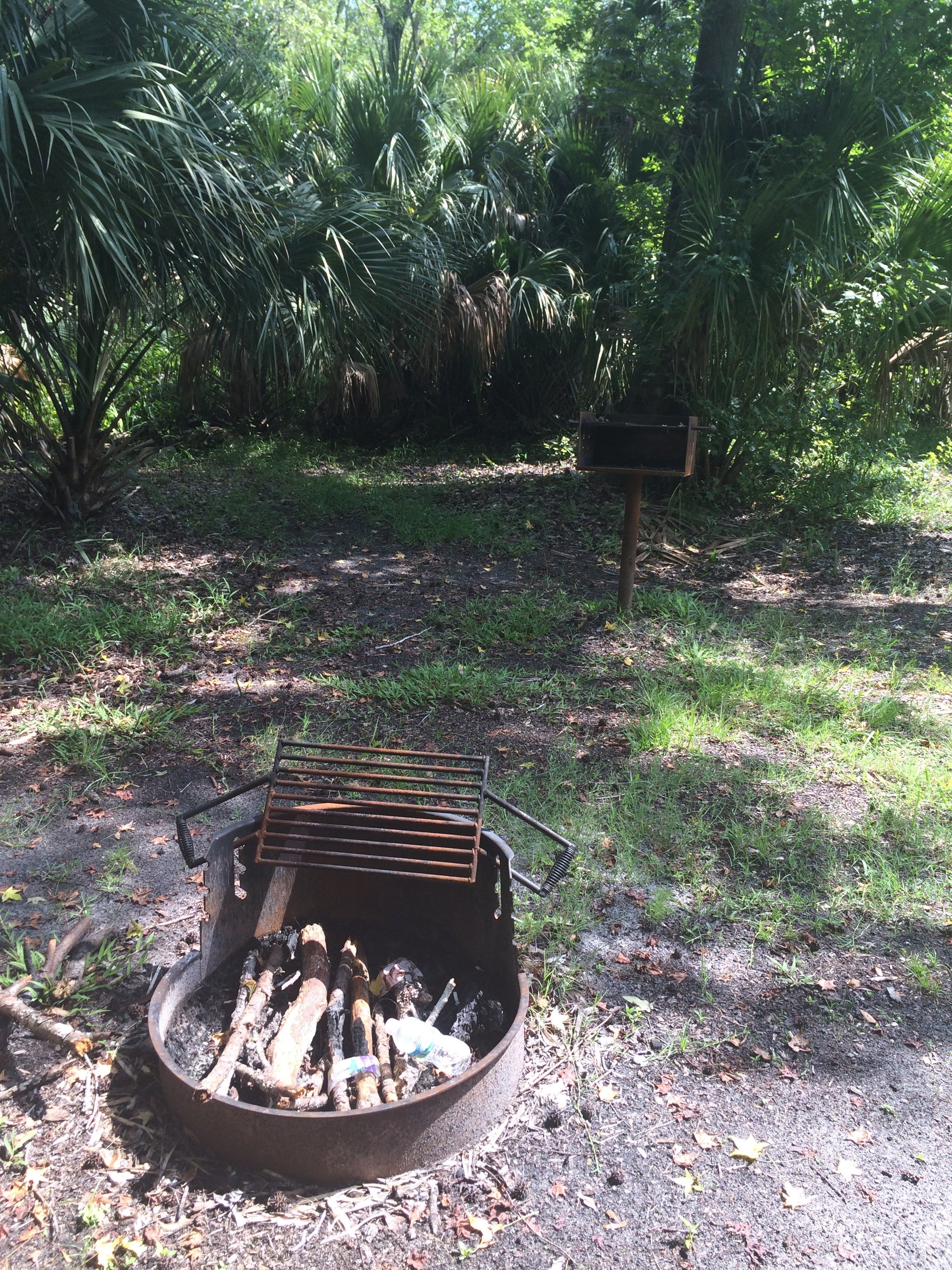 Camper submitted image from Seminole State Forest - Moccasin Camp - 2