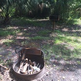 Review photo of Seminole State Forest - Moccasin Camp by Billy A., June 30, 2015