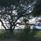 Review photo of Edisto Beach State Park Campground by Brigitte H., August 13, 2018