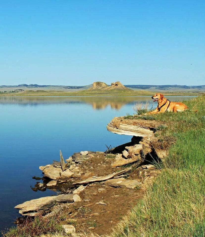 Camping near ED McGivern Memorial Park Campground: Yellow Water Reservoir, Lewistown, Montana