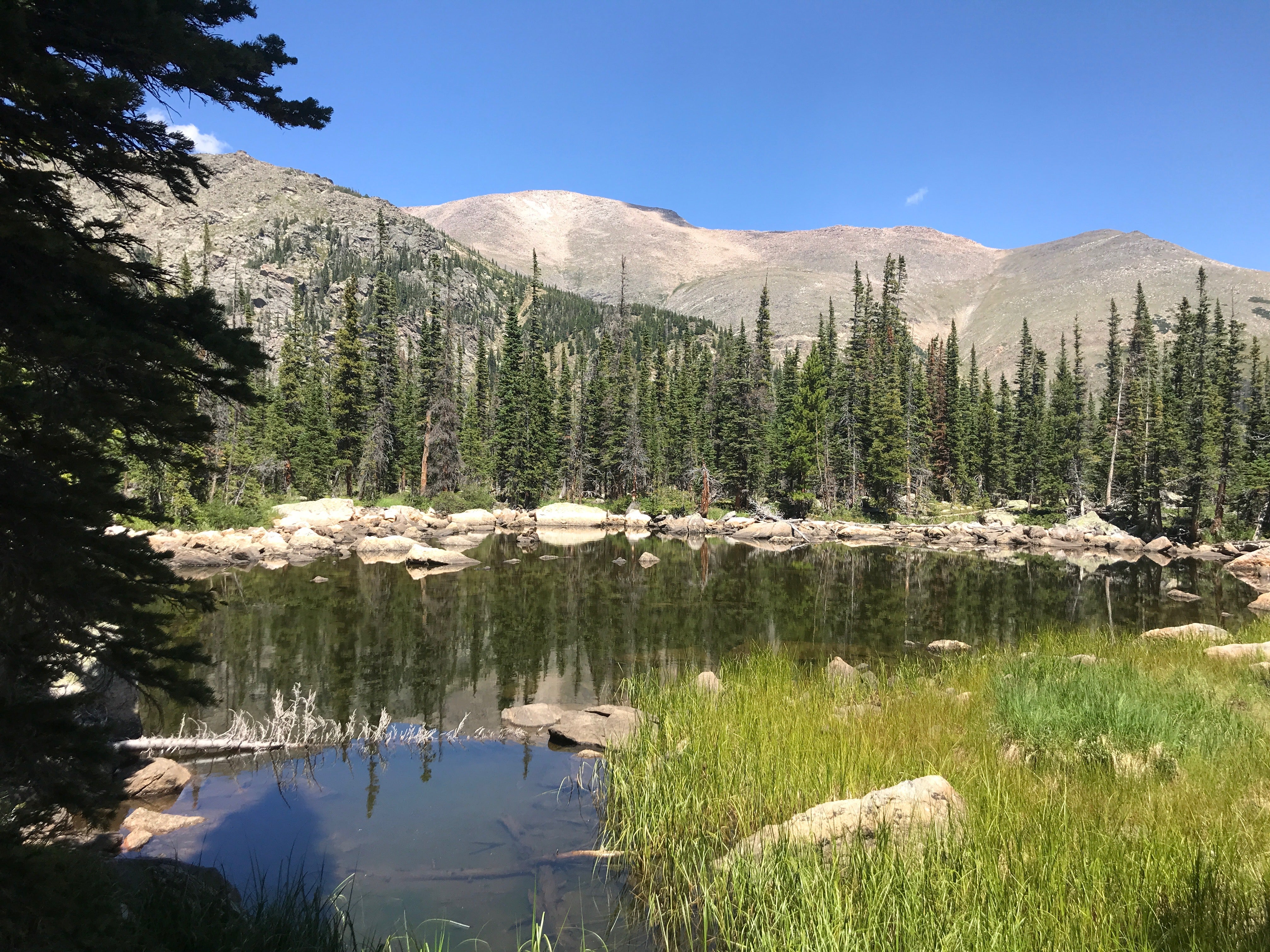 Camper submitted image from Upper Chipmunk Backcountry Campsite — Rocky Mountain National Park - 3