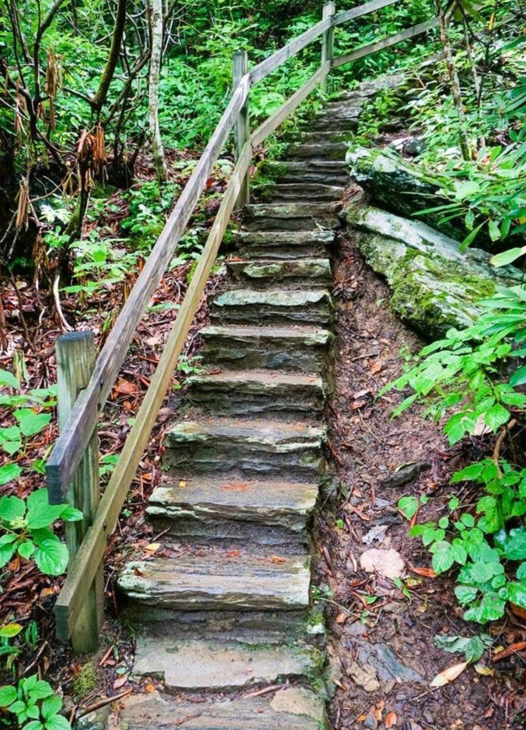 Camper-submitted photo at Oconee Point near Hartwell Lake