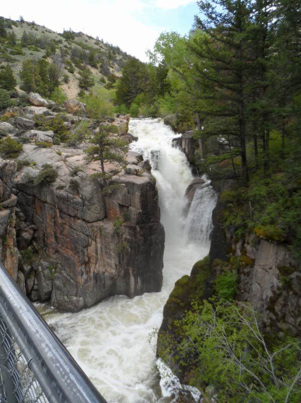Camper submitted image from Canyon Campground — Yellowstone National Park - 5