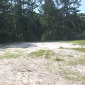 Review photo of Seminole State Forest - Moccasin Camp by Billy A., June 30, 2015