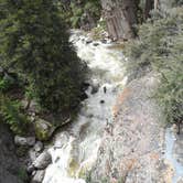 Review photo of Canyon Campground — Yellowstone National Park by Danielle H., July 3, 2016