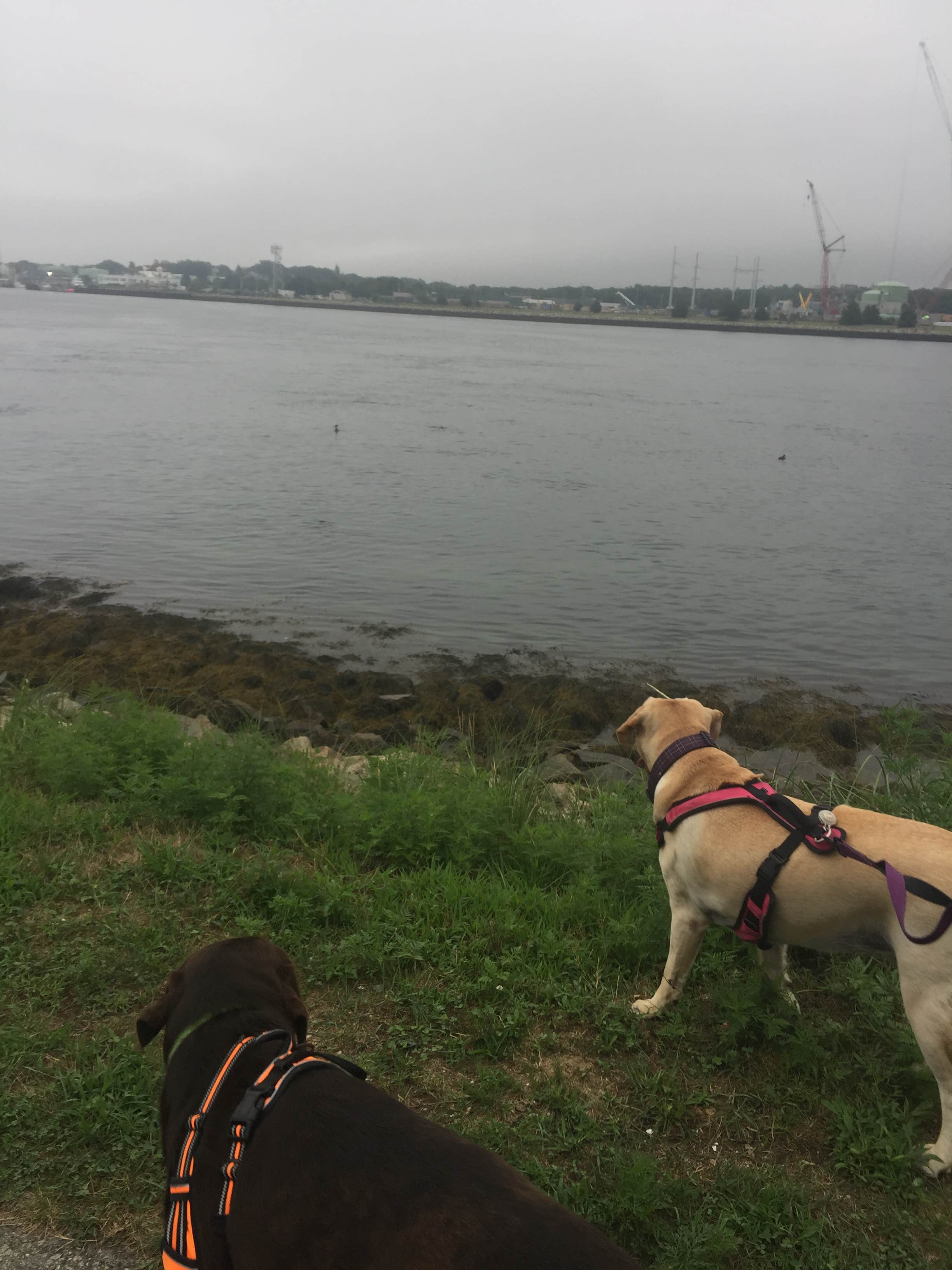 Camper-submitted photo at Scusset Beach State Reservation near South Chatham, MA