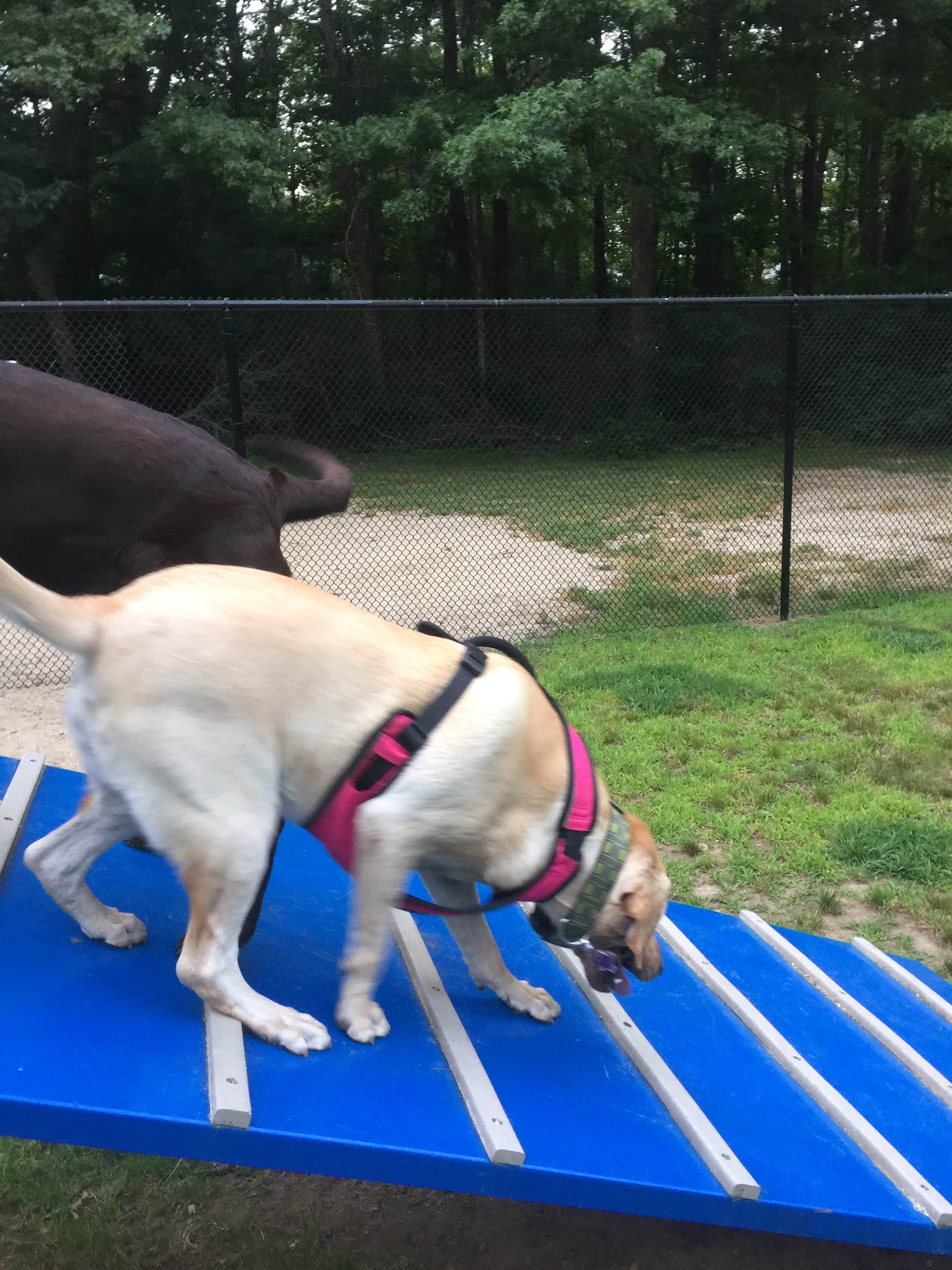 Camper-submitted photo at Peters Pond RV Resort near Middletown, RI