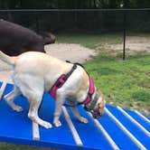 Review photo of Peters Pond RV Resort by Orange L., August 13, 2018