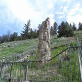 Review photo of Canyon Campground — Yellowstone National Park by Danielle H., July 3, 2016