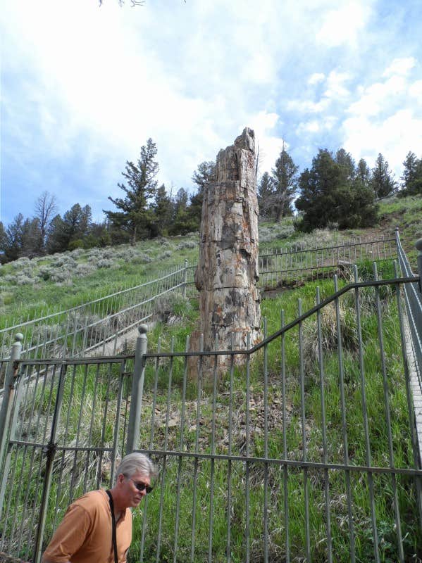 Camper submitted image from Canyon Campground — Yellowstone National Park - 3