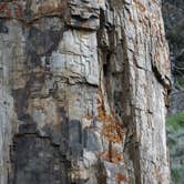 Review photo of Canyon Campground — Yellowstone National Park by Danielle H., July 3, 2016
