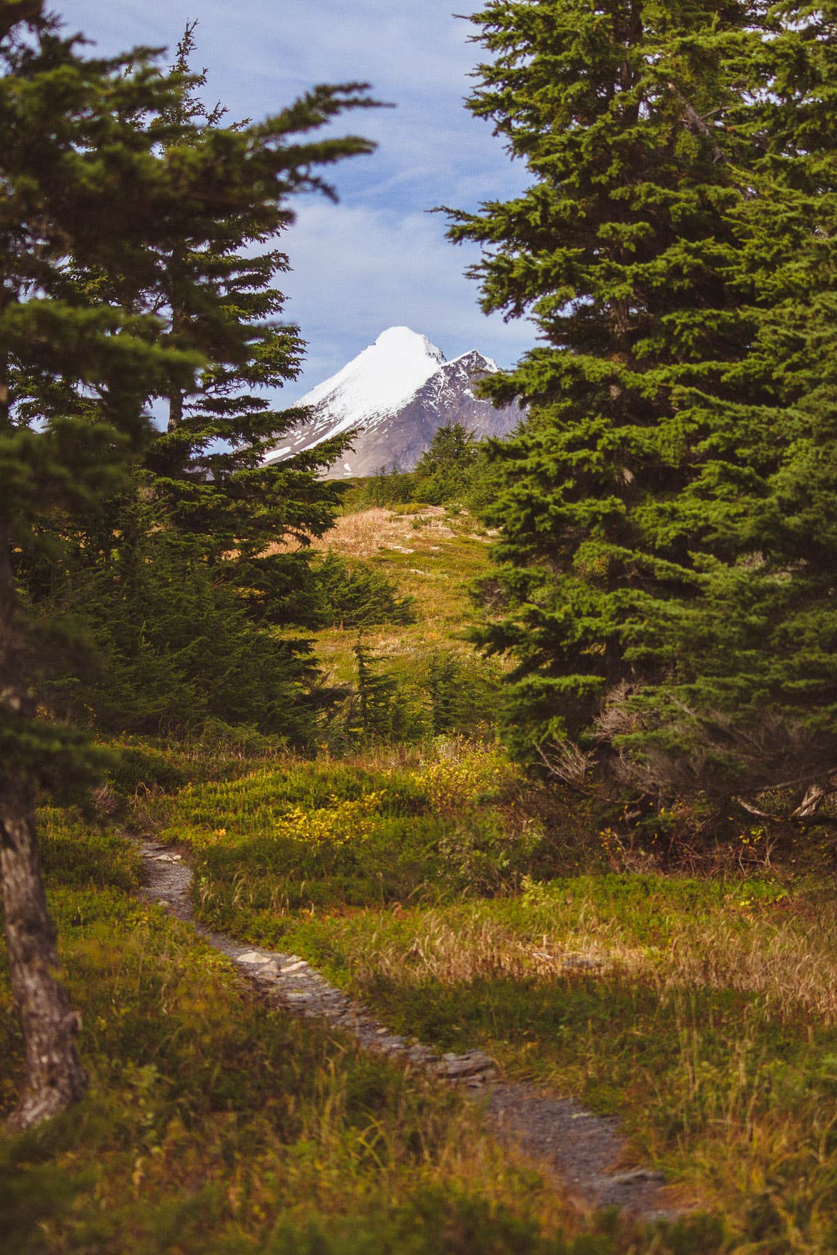 Camper-submitted photo at Dale Clemens Cabin near Whittier, AK
