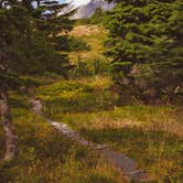 Review photo of Dale Clemens Cabin by Robin F., August 13, 2018