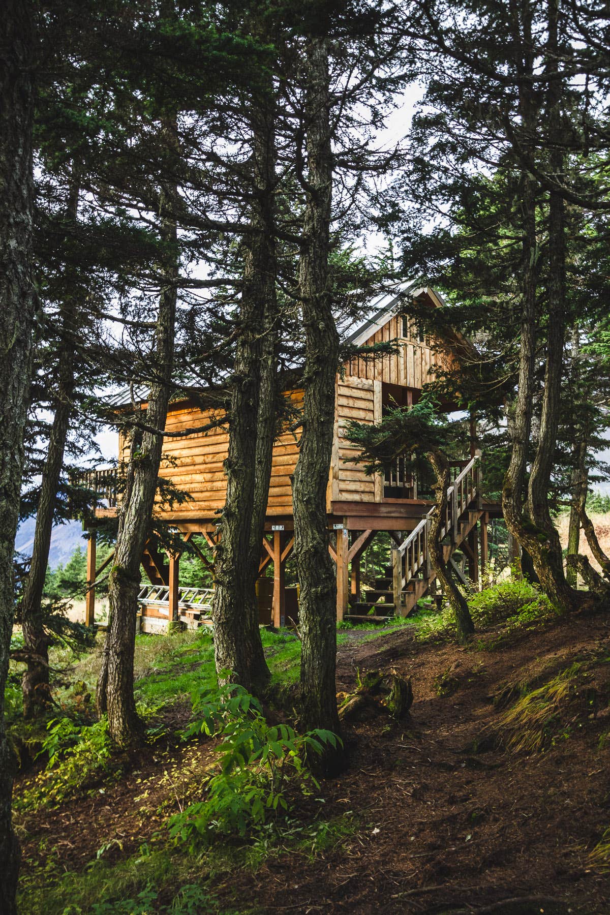 Robin F.'s photo of a cabin at Dale Clemens Cabin near Moose Pass, AK