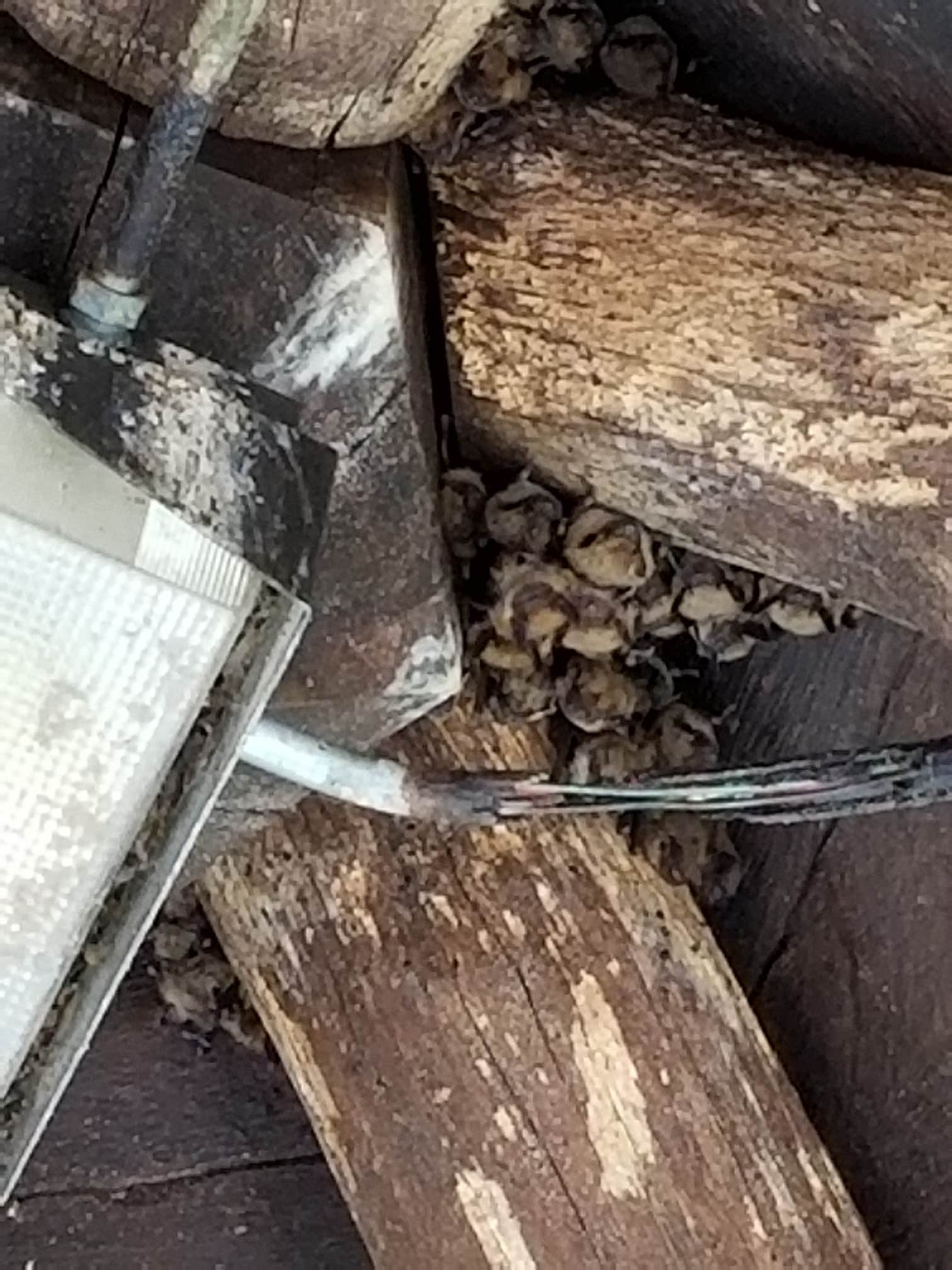 Camper-submitted photo at Six Pines Campground — Backbone State Park in Iowa