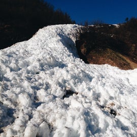 avalanche over the trail